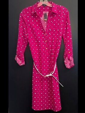 The Limited Berry Pink Polka Dot Dress